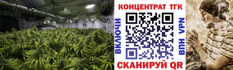 ТГК гашишное масло Купить Мценск